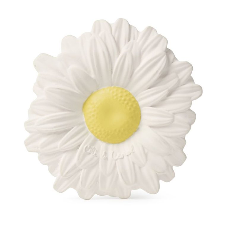 Margarita the daisy - El jardín