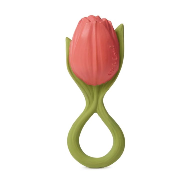 Theo the tulip - El jardí