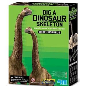 Kit Geológico Brachiosaurus