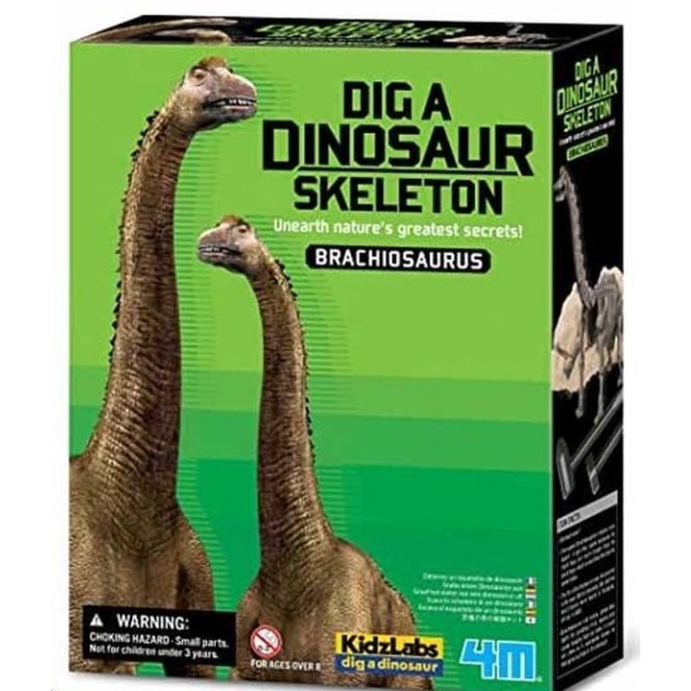 Kit Geológico Brachiosaurus