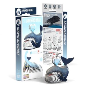 Eugy Ballena de Groenlandia 084