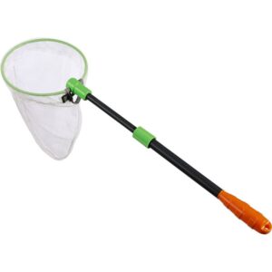Terra Kids - Celebret extensible