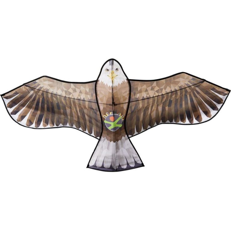 Terra Kids - Cometa águila