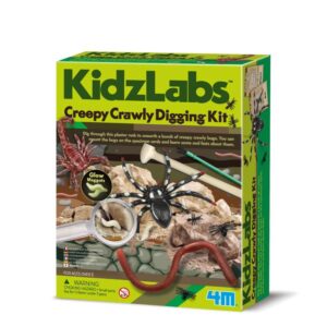 Kit geológico de insectos