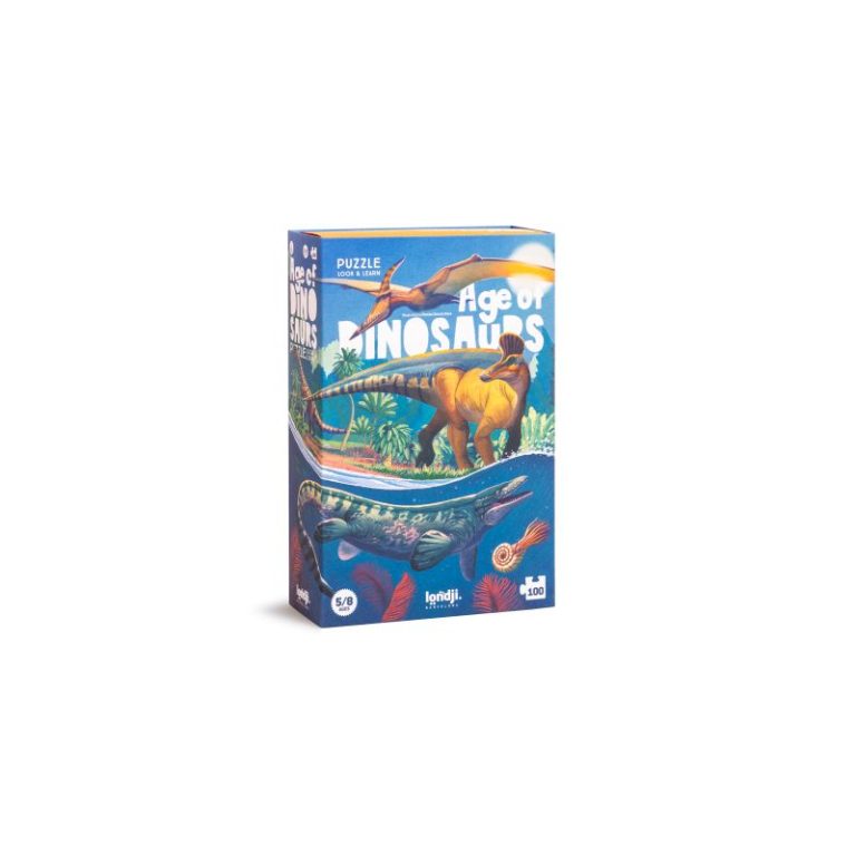 100 Puzle y juego - Age of Dinosaurs