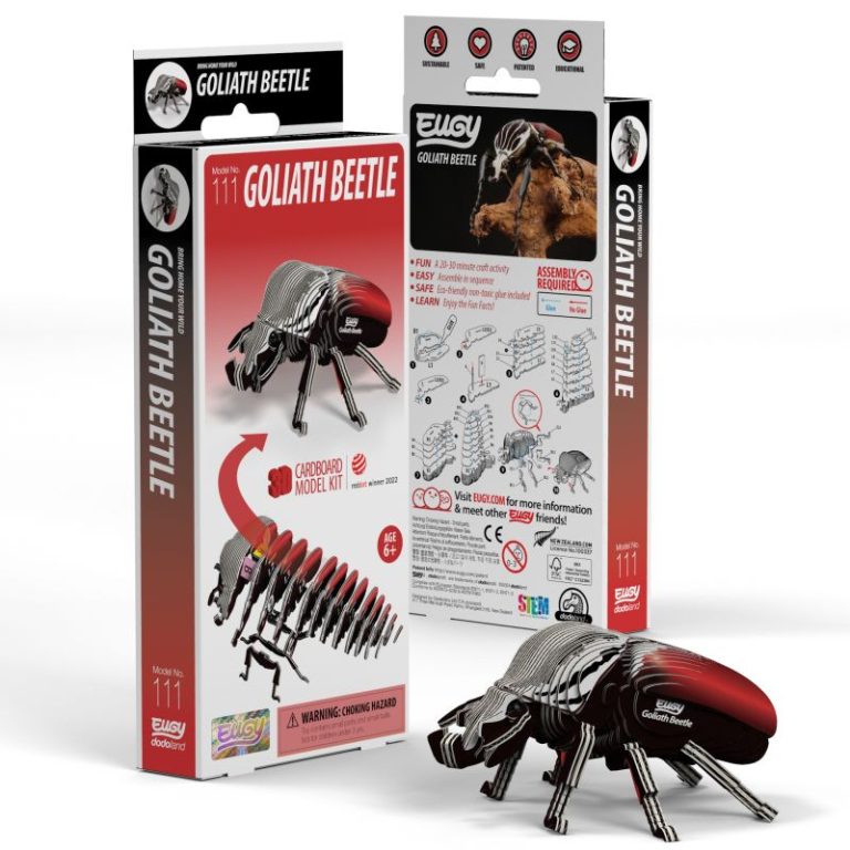 Eugy Escarabajo Goliath